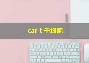 car t 干细胞